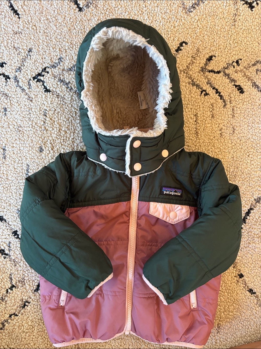 Patagonia jacket (2T) EUC